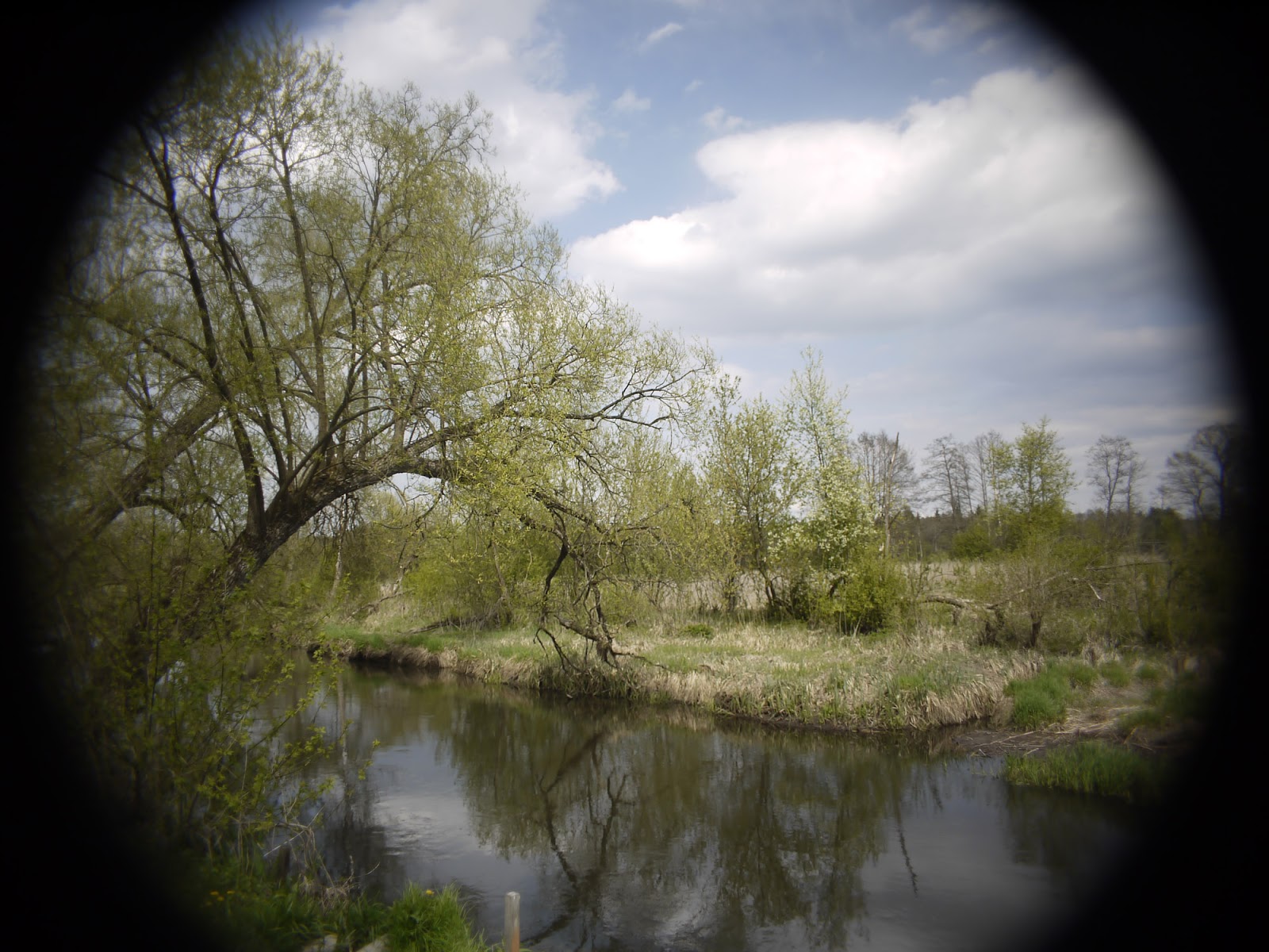 Cosmicar 12.5/1.9 @1.9 - landscape (full Micro Four Thirds sensor). Cosmicar 12.5/1.9 @1.9 - landscape (full Micro Four Thirds sensor).