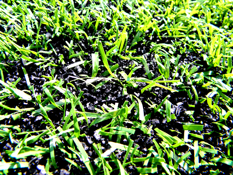 Will artificial turf be brought back to Neyland. Page 10 VolNation