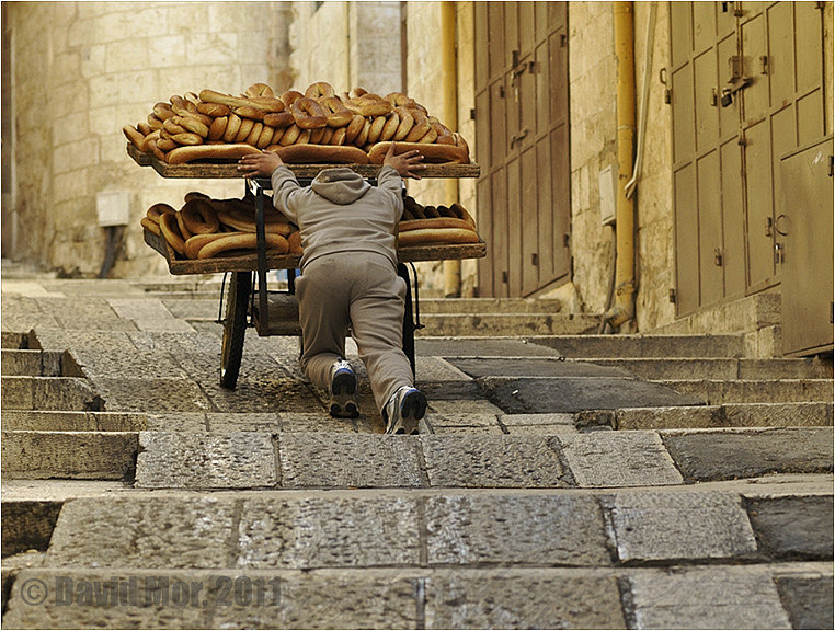 Emerging Photographers, Best Photo of the Day in Emphoka by David Mor, https://flic.kr/p/bas3Eg Emerging Photographers, Best Photo of the Day in Emphoka by David Mor, https://flic.kr/p/bas3Eg