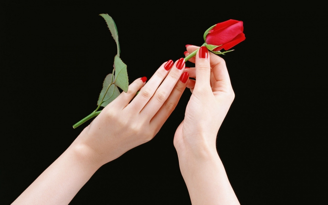 http://4.bp.blogspot.com/-5thZLw7GcL0/TWyma8vSw_I/AAAAAAAAECM/r27gZBSQqBw/s1600/8_martie-1280x800.jpg