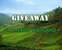 GIVEAWAY : cenderamata CAMERON HIGHLAND dari Normala Ali