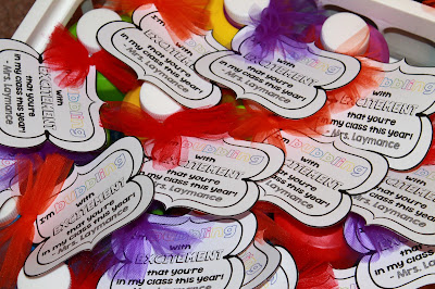 Adventures of First Grade: Meet the Teacher Ideas