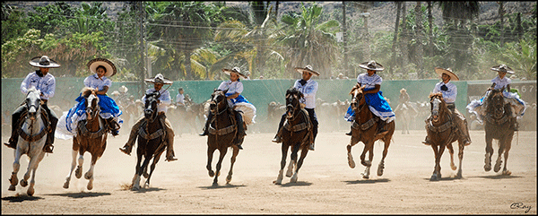 Riders performing at the Todos Santos Festival del Caballos