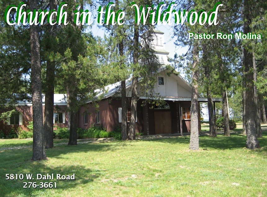 Church in the Wildwood