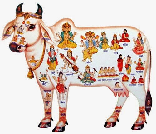Holy Cow - Shri Krishna love her Holy Cow - Shri Krishna love her