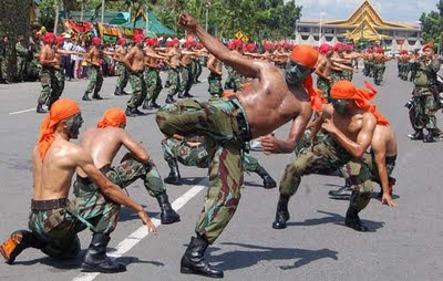 ANALISIS ALUTSISTA TNI: KEKUATAN MILITER RI RANKING 18 DUNIA