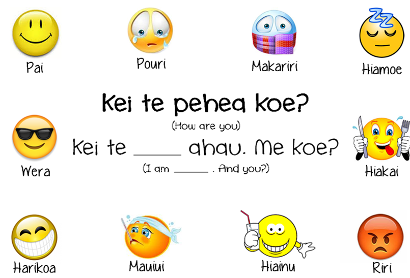 Meeting Three Effective Practice of Te Reo Maori me ona Tikanga