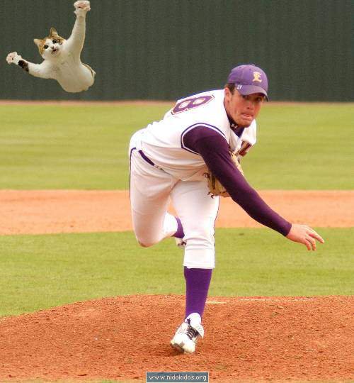 Sports without Balls Photos World Photo Collection Gallery