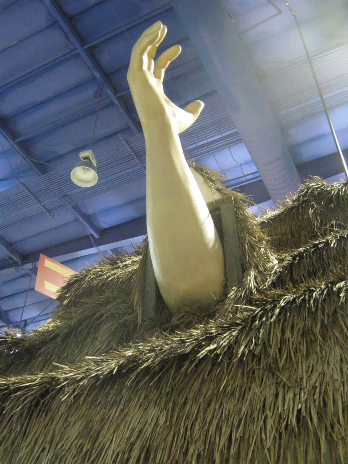 Fun Ideas Alice in Wonderland Fry's