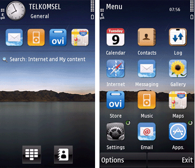 Theme 5530 Nokia