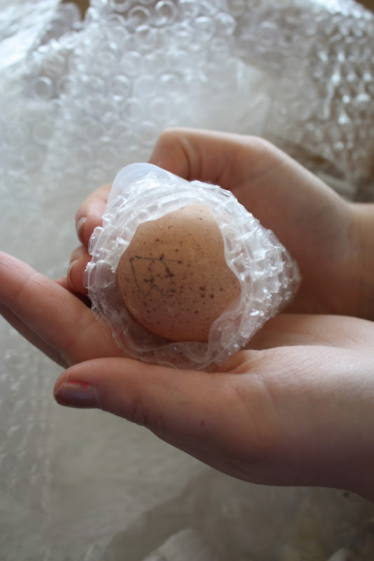 Little Home In The Country Egg Day!