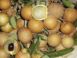 Vegetable And Fruit Information For Our Live The Benefits Of Litchi For Our Health