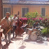 Young Jazz Festival, Foligno (Pg) 17-25 Maggio 2014