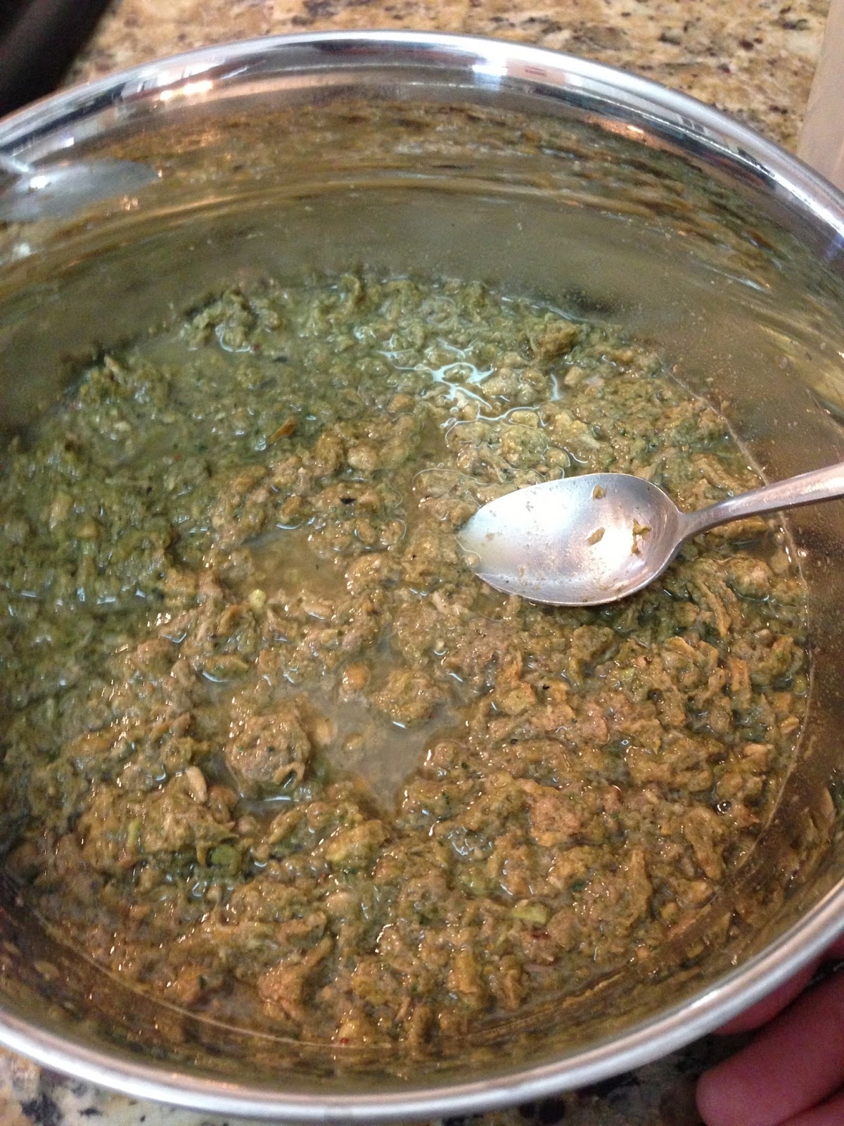 Raring to Go Raw My Primal Pet Food and a Giveaway Oz the Terrier