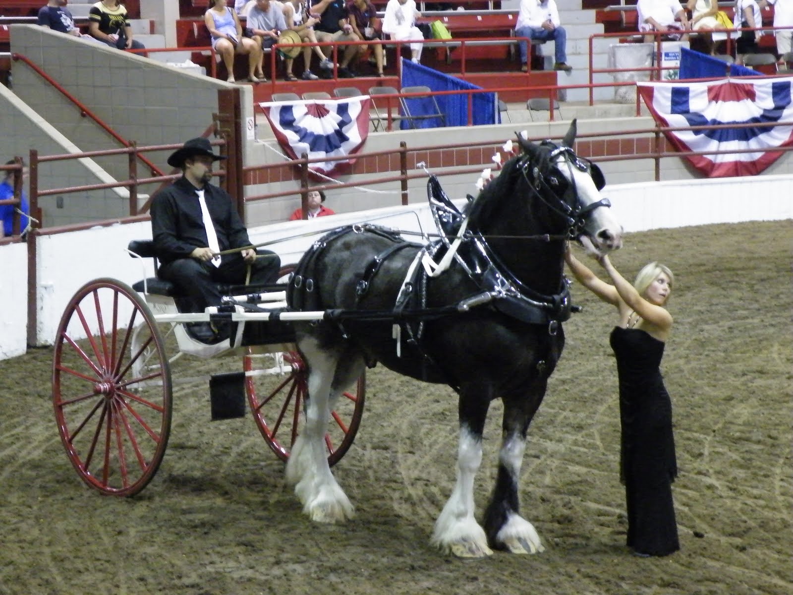 Evenstar Art the draft marathon 4 horse hitch