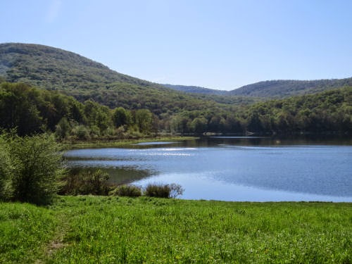 Alder Lake