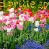 Aspecte astrologice in aprilie 2014