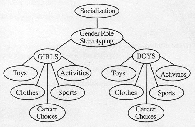 The Role Of Socialization And Gender Roles