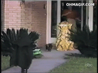 Animals vs kids (40 gifs), animals being jerks gif, dog chasing little boy in batman costume