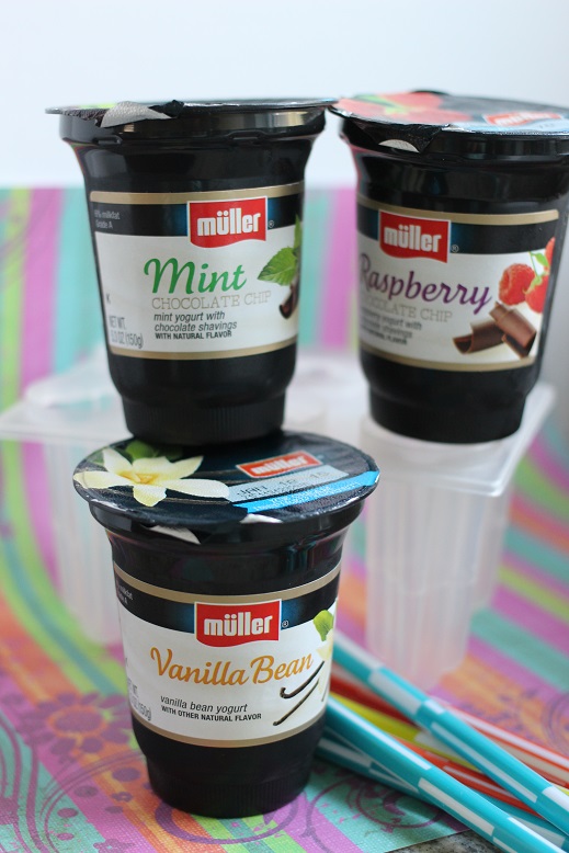 Mama Loves Food! Dark Chocolate Dipped Frozen Yogurt Bars