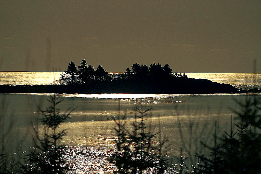 Bay Of Fundy Fortunes.