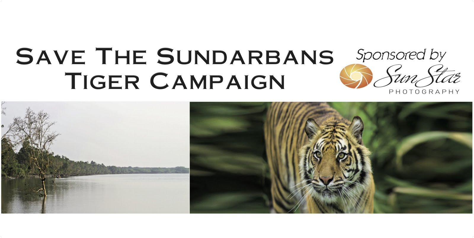 Save The Sundarbans Tiger Campaign | Nazmul Islam