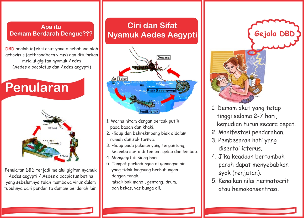 Serat Kemuning Leaflet Penyuluhan Pencegahan Demam Berdarah
