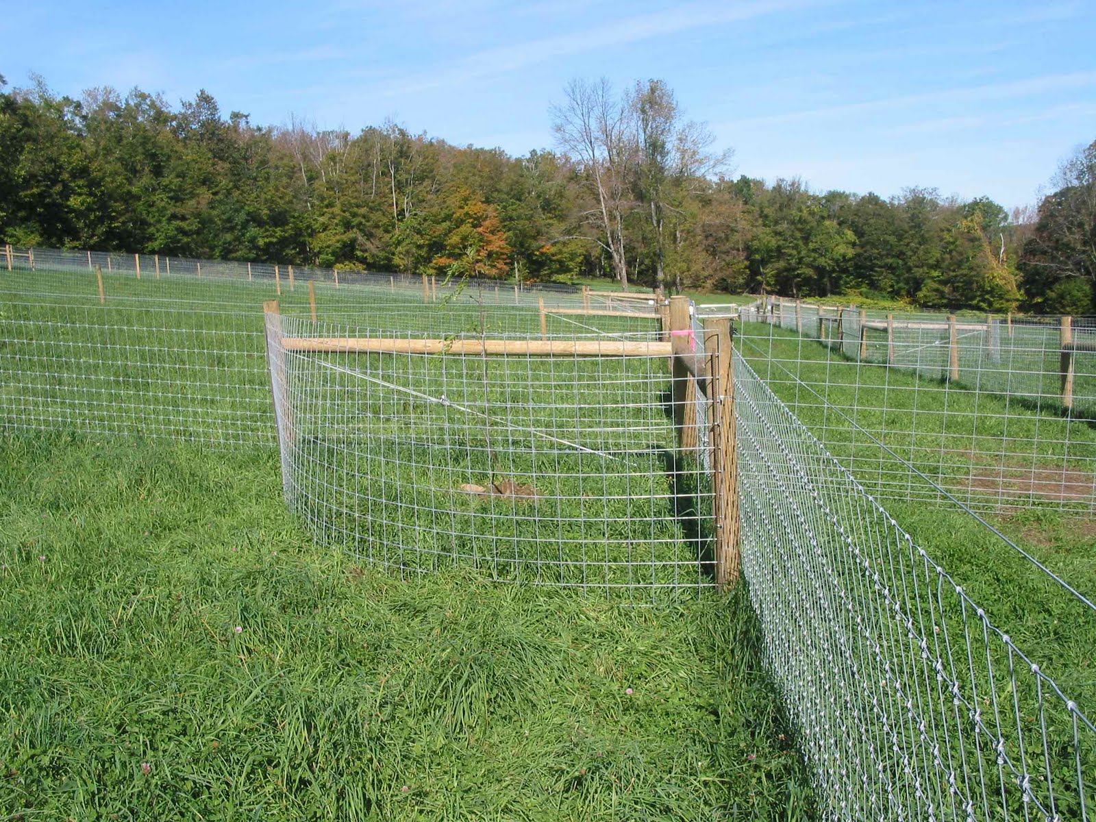 Fox Mountain Farm Fencing Detail and Design