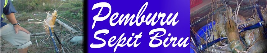 PEMBURU SEPIT BIRU