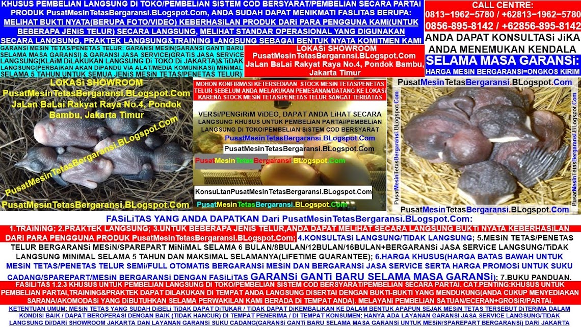 MESIN TETAS / PENETAS TELUR LOVEBIRD FULL OTOMATIS