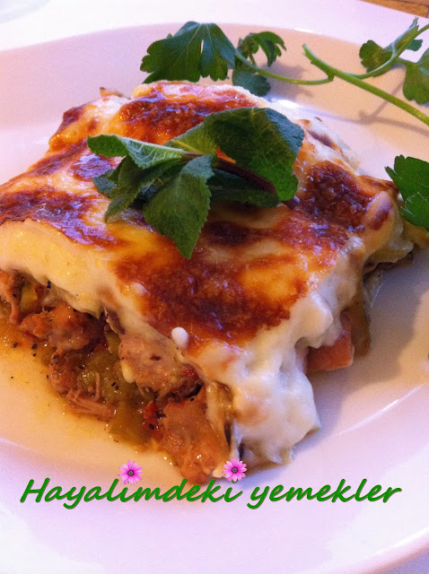 ana yemekler,resimli ana yemek tarifleri