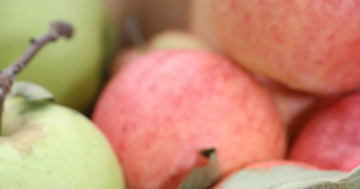 Pressure Cooking and Canning How to Make Fresh Apple Beer from apple