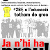 #26F Concentracions a les portes dels centres. A l'educació, tothom de groc!