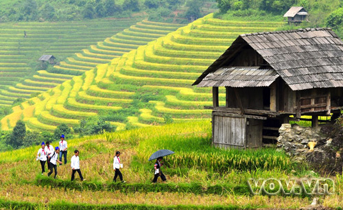 Terraced fields in Sa Pa - Vietnam