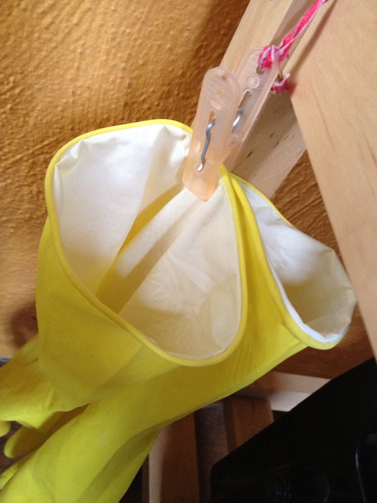 Olivia Cleans Green How to Keep Rubber Gloves Smelling Fresh