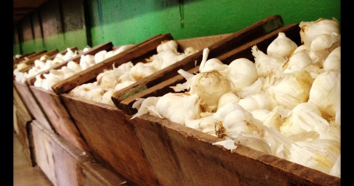 Pieces of Palm Fruit Stands and Farmer's Markets
