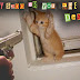 How to protect your computer from CryptoLocker ransomware malware ?