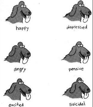 Gary Larson Like A Lot Of Dogs Gary Larson Like A Lot Of Dogs