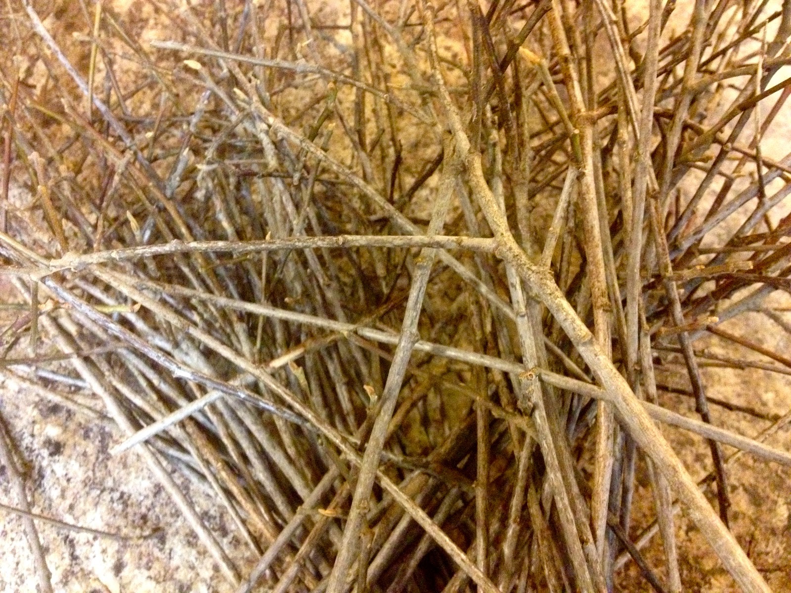 How to Make a Stick Wreath