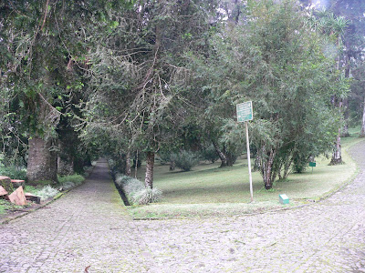 Foto Jalan Kenangan Gambar Jalan Kenangan