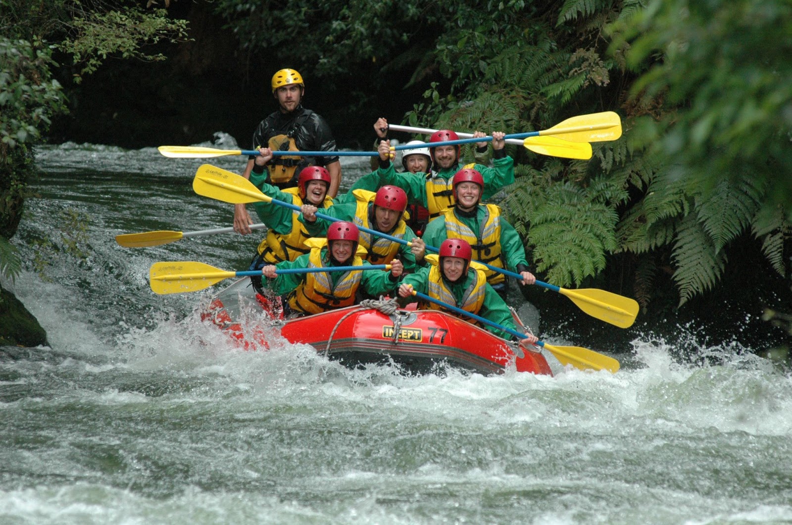 New Zealand Flights take you to a Fantasyland Lothar Aachen