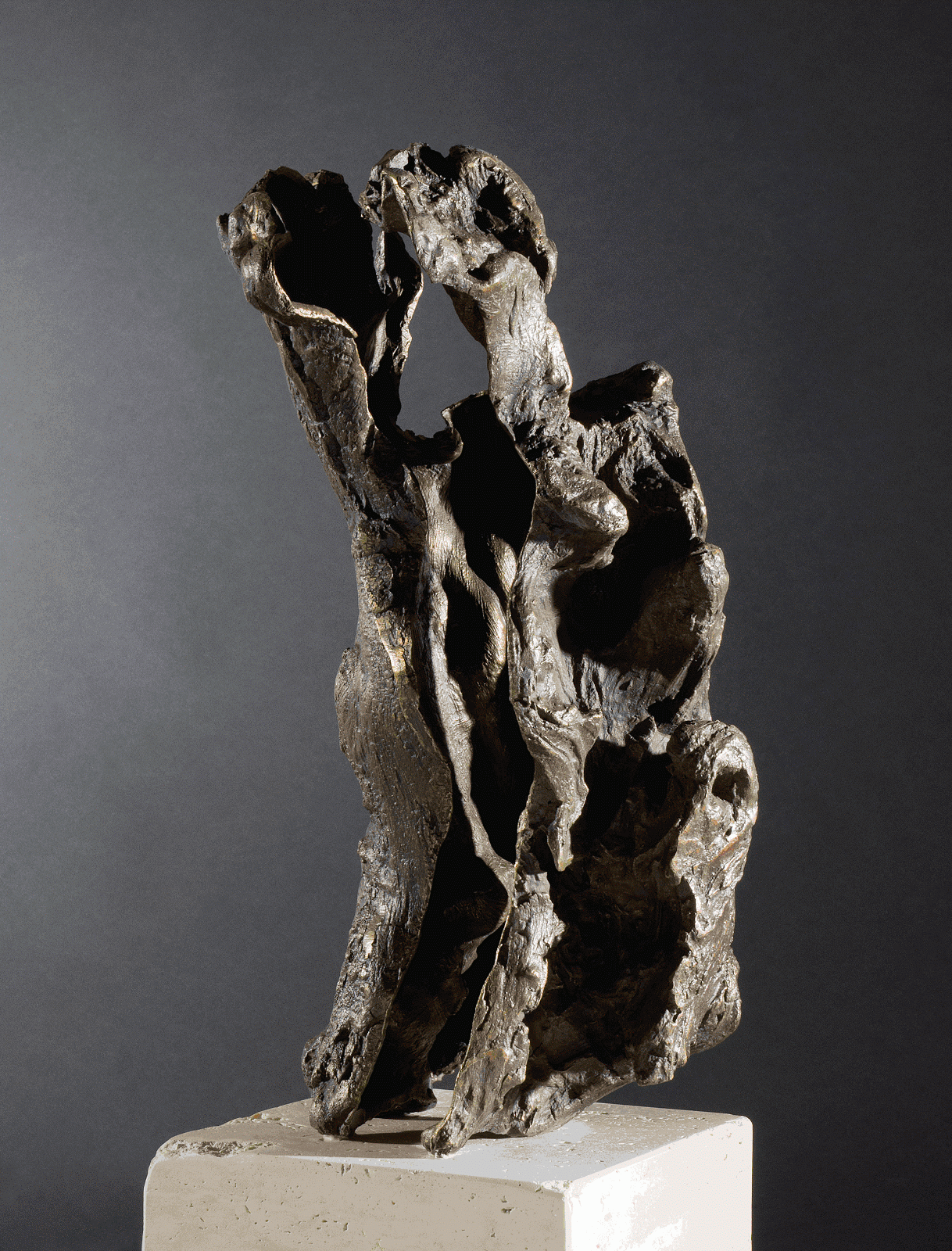 Attinia visual artist: radice del dissenso Ceppi con radice di legno