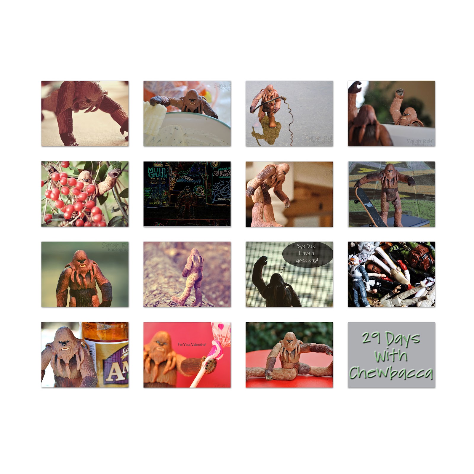 http://4.bp.blogspot.com/-62PmsgJPmYc/Tz_Ew55m0tI/AAAAAAAAFYY/WjAkekDaVHA/s1600/Chewbacca-collage-1.jpg