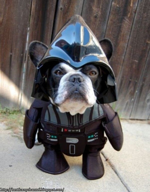 Jedi where your strength