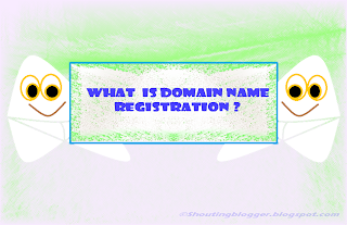 What is Domain Name Registration What is Domain Name Registration