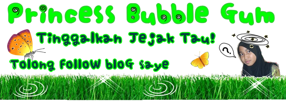 Princess Bubble Gum