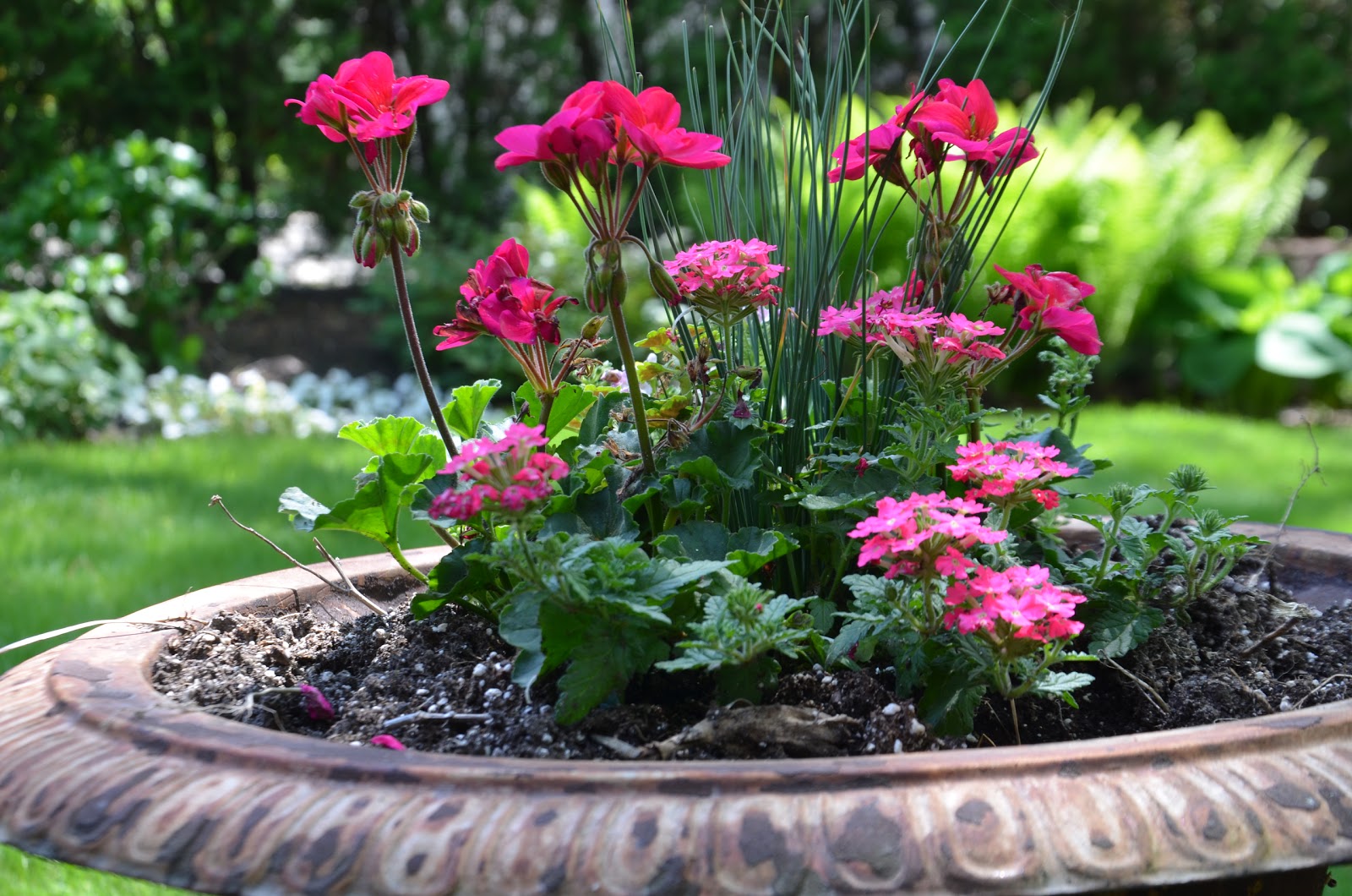 When To Plant Flowers in Michigan? (2023)