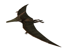 Pteranodon