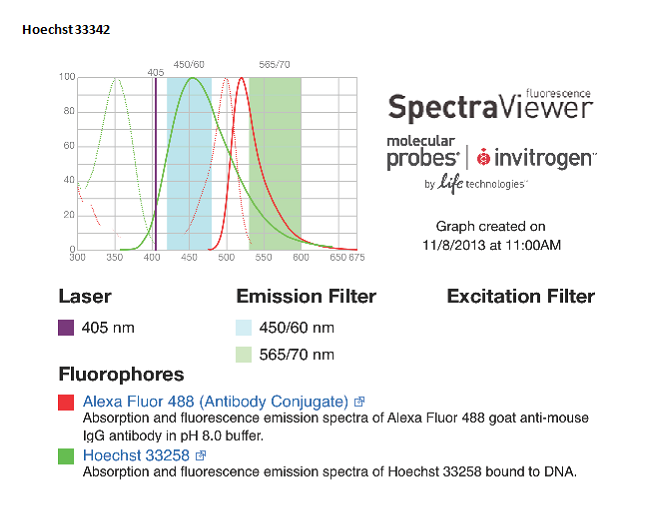 Kailin's Korner November 2013