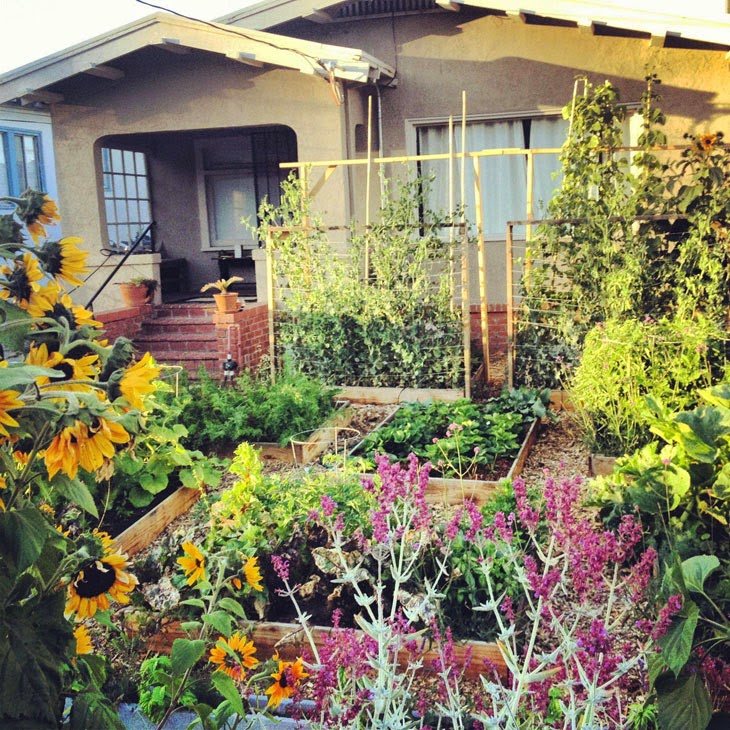 Feast your eyes on this. - He Started With Some Boxes, 60 Days Later, The Neighbors Could Not Believe What He Built Feast your eyes on this. - He Started With Some Boxes, 60 Days Later, The Neighbors Could Not Believe What He Built
